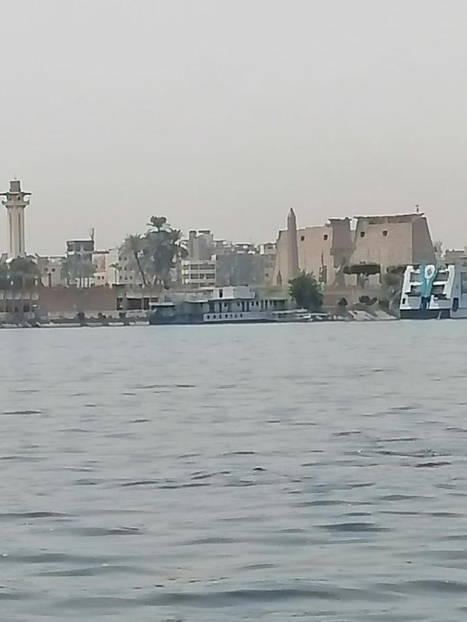 Winter شقة